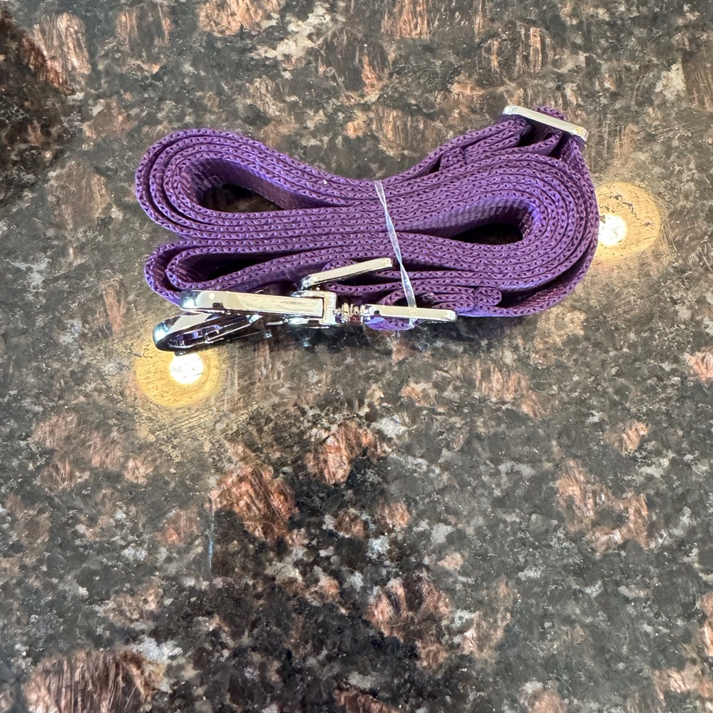 Harveys Disneyland Haunted Mansion - Picture 3 of 7